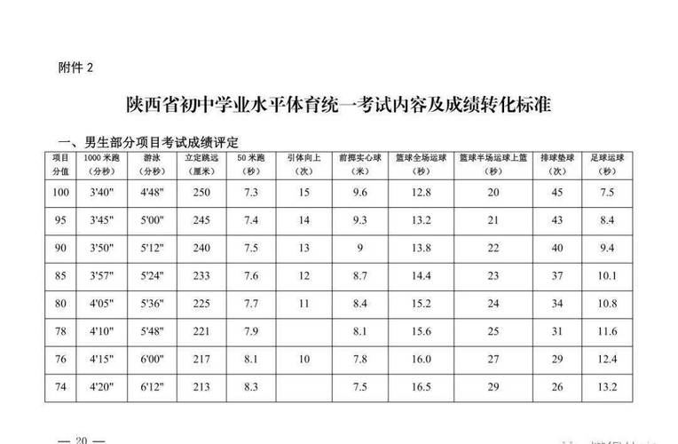 小升初都考哪些体育内容