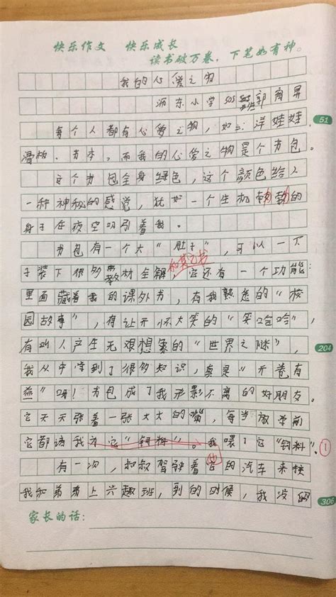 我的心愿作文600字法医