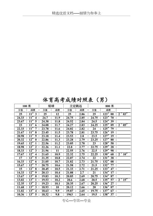 高考体育项目实施与影响分析工作总结