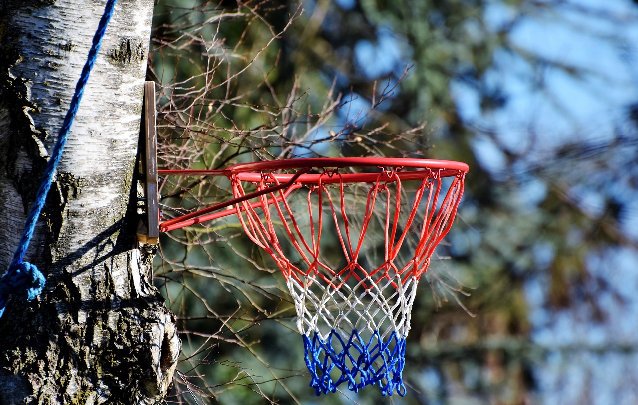 深圳，城市篮球梦想的闪耀舞台——探索深圳NBA的崛起与未来