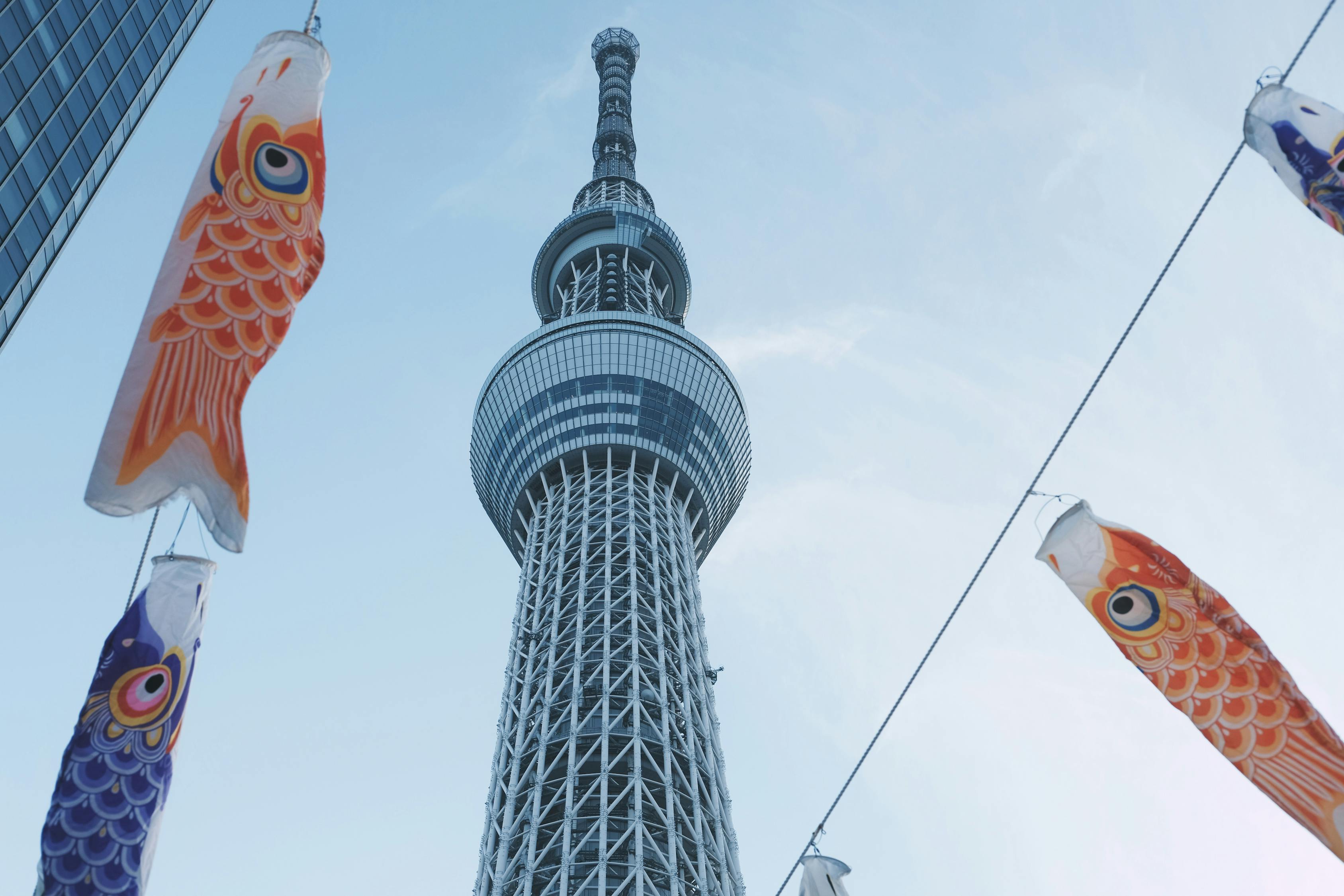 从加格达奇到北京，穿越时空的旅行记