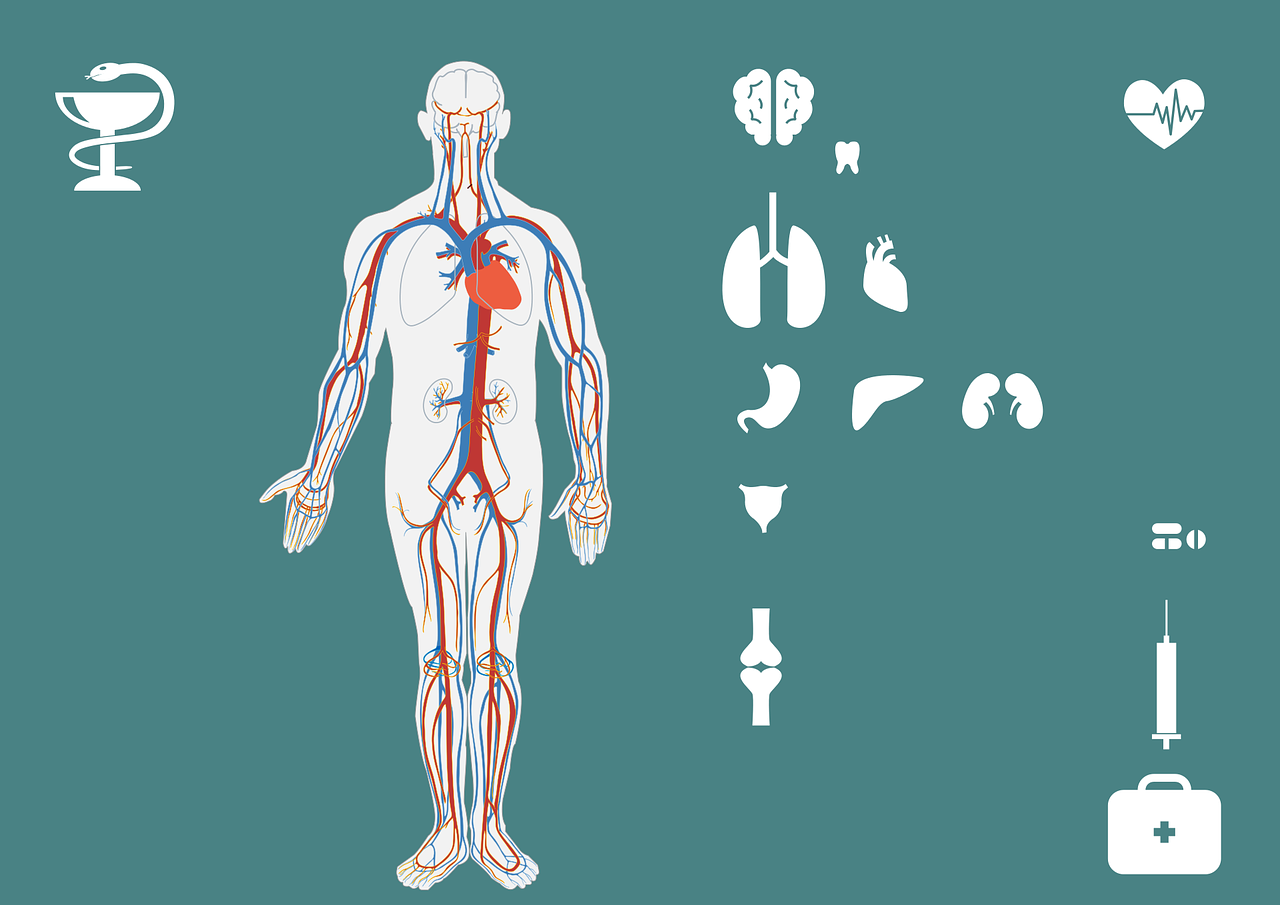 吉林战疫，新增本土确诊42例，我们如何共同守护健康？