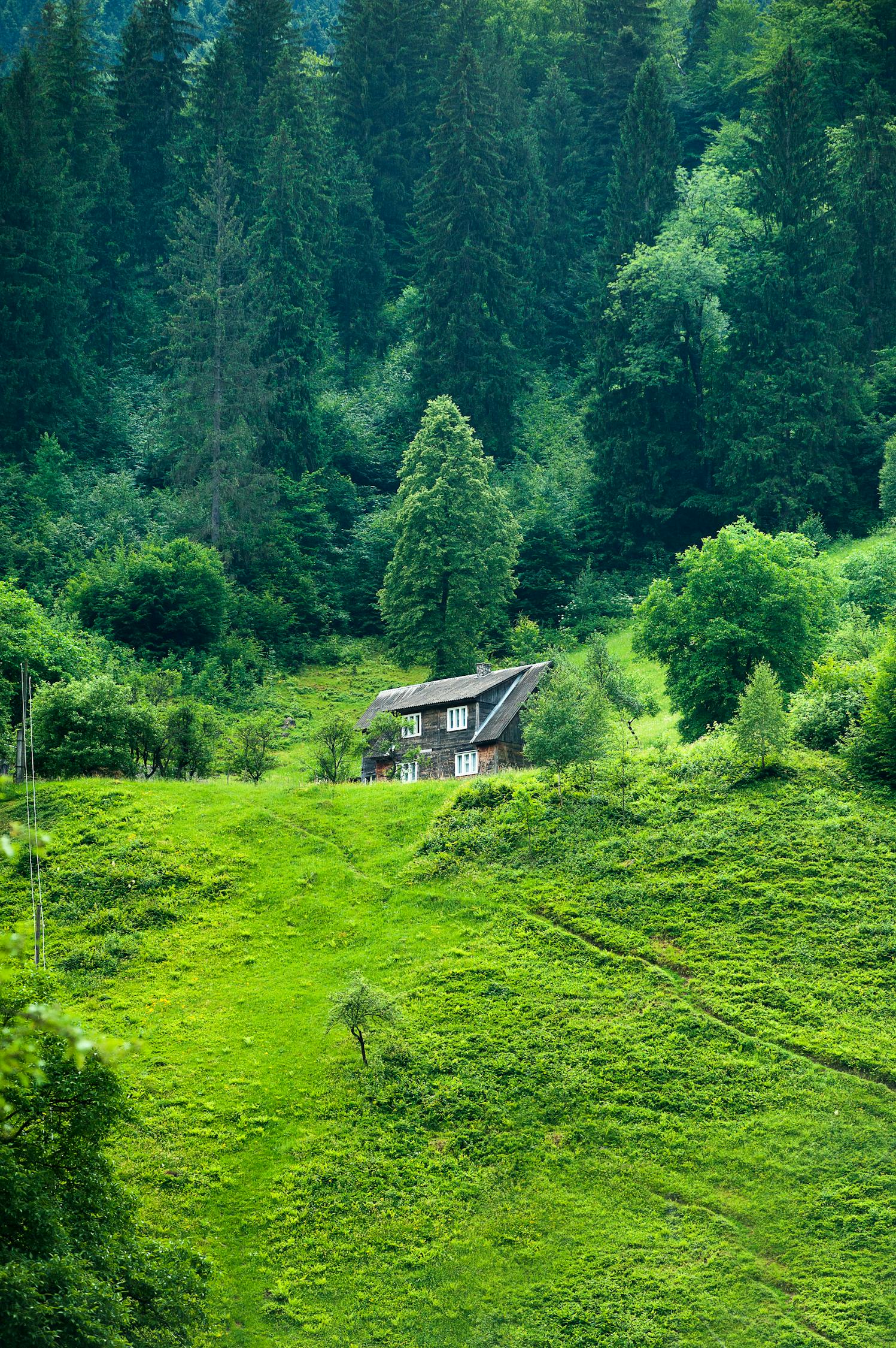 张家界疫情追踪，如何理解与应对多地的旅行警告